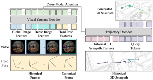 Forecasting 3D Scanpaths in Egocentric Video